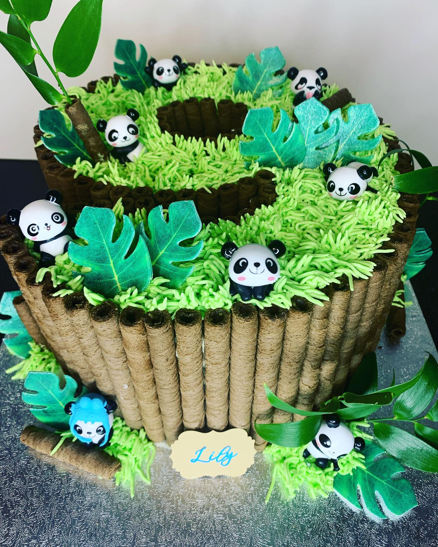 Panda Cake Kerrys Cakes